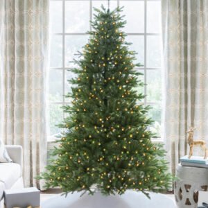 Alpine Fir