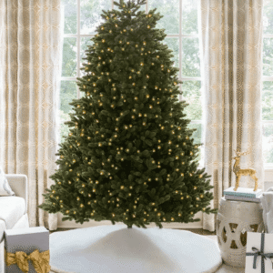 Aspen Fir
