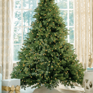 Cypress Spruce
