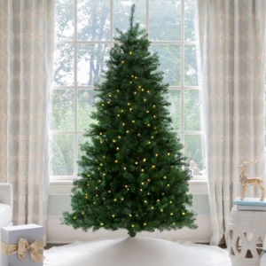 Hancock Spruce