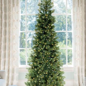 King Douglas Fir