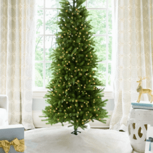 King Fraser Fir Slim