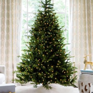 Scarlet Fir