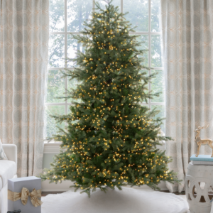 Silverpeak Fir