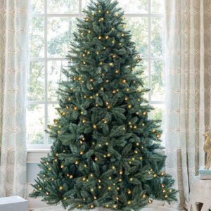 Tribeca Spruce